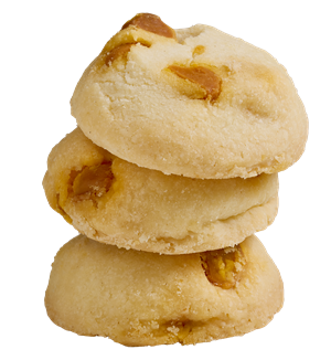 salted butterscotch 2026 (cropped, 300 pixels wide)